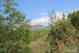 sco dello Scacchiere-03-06-2023 08-36-39